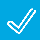 icon_validate